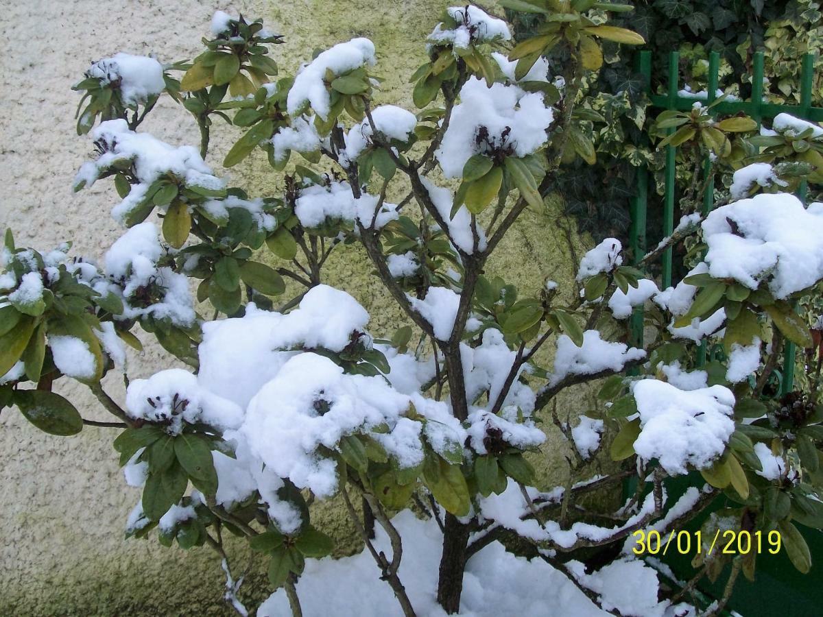 Holiday home La Cle Des Champs *